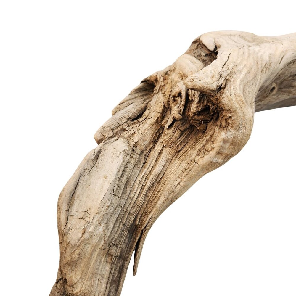 Natural Driftwood Decor Piece For Crafting Aquariums Reptile Tanks Or Rustic Dis - Picture 8 of 14